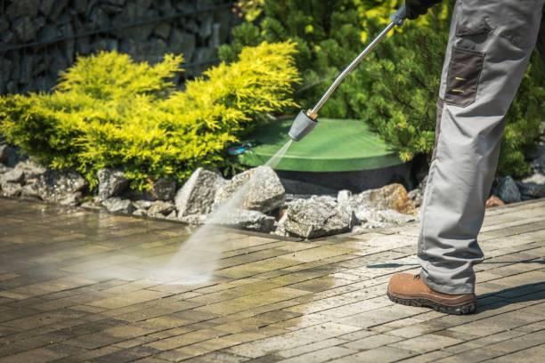 Best Dumpster Area Cleaning  in Great Neck Estates, NY