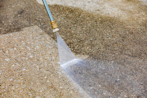 Best Gutter Cleaning  in Great Neck Estates, NY
